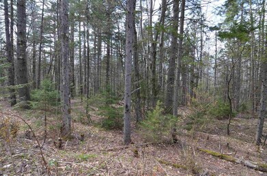 0 Berry Patch Ln unit 45-2, Ludlow, VT 05149 - photo 3