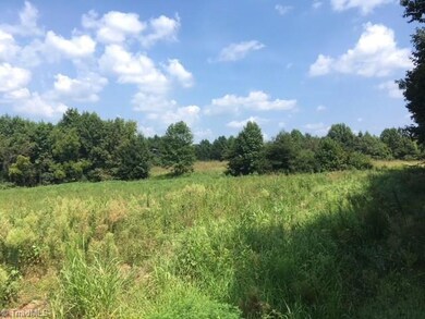 3555 Old Bachelor Creek Rd, Seagrove, NC 27341 - photo 3