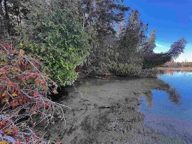 Vacant Township Park Rd, Springvale Township, MI 49770 - photo 6