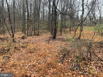 1 Mindy Trail, Carroll Valley, PA 17320 - photo 3