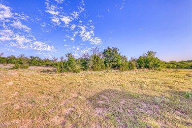 TBD-20 Spring Ranch Dr, Weatherford, TX 76088 - photo 6