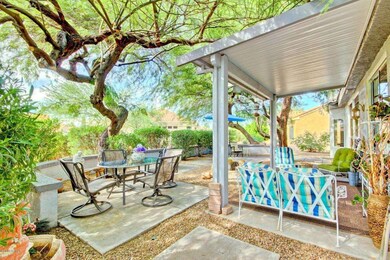 Backyard Oasis