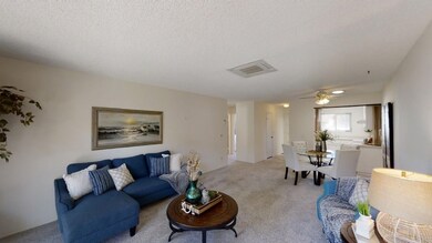 1755 Belle Meade Rd, Encinitas, CA 92024 - photo 3