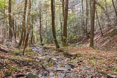 2424 Corral Rd, Signal Mountain, TN 37377 - photo 6