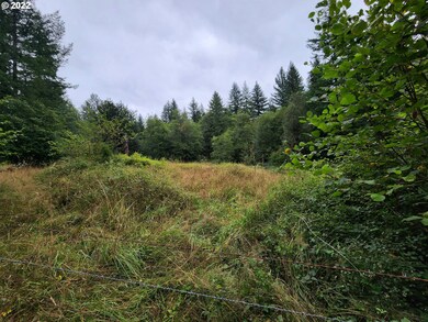 28310 NE Yacolt View Rd, Yacolt, WA 98675 - photo 7