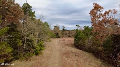 0 Border Rd, Carrollton, MS 38917 - photo 7