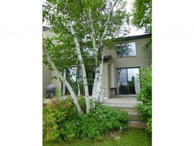 3 Eagle Dr unit 29, Wilmington, VT 05363 - photo 3