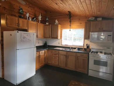 9279 S Forman Rd, Baldwin, MI 49304 - photo 7