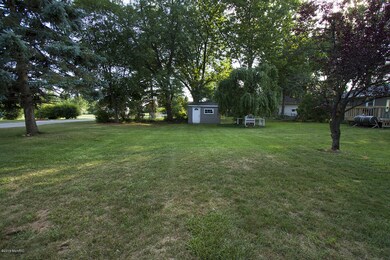 Backyard1