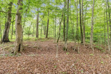 Howardsville_Rd_Lot_001