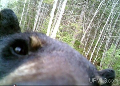 TBD Mud Lake Rd, Lake Linden, MI 49945 - photo 2