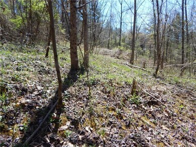 00 Blueberry Dr unit A, Cane River, NC 28714 - photo 6