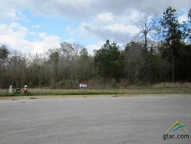 1417 Covewood Dr, Tyler, TX 75703 - photo 6