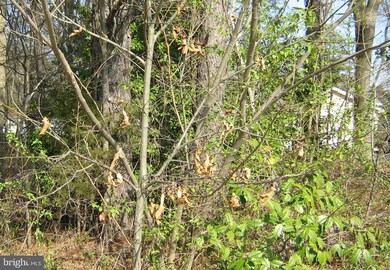 0 Brickhouse unit 1000050219, King George, VA 22485 - photo 3