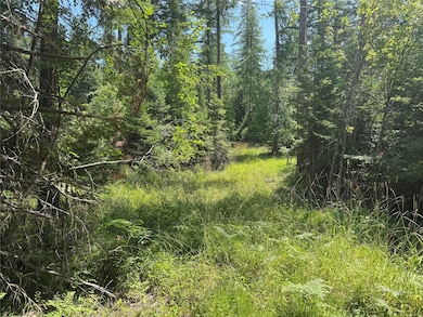 13643 Sundance Trail, Bigfork, MT 59911 - photo 7