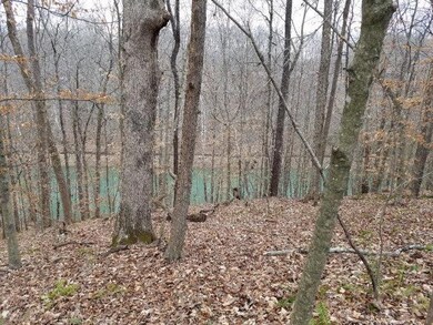 28 Goodbar Rd, Rock Island, TN 38581 - photo 7