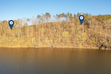 LOT 8 Flat Rock Cove, Crane Hill, AL 35053 - photo 6