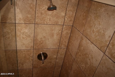 mastershower2
