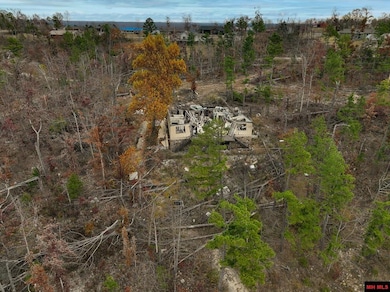 010-01899-000 Hornpipe Ave, Briarcliff, AR 72653 - photo 2