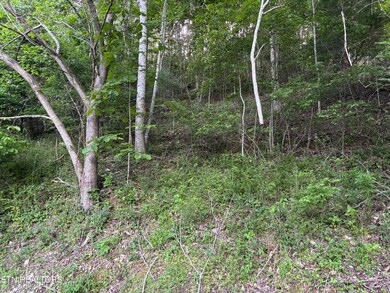 IMG_0971