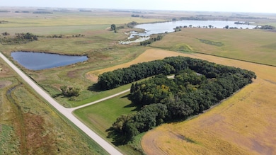 28599 310th St, Wendell, MN 56590 - photo 5