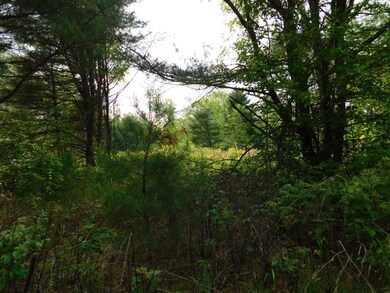 W606 Joe Johnson Rd, Suring, WI 54174 - photo 6