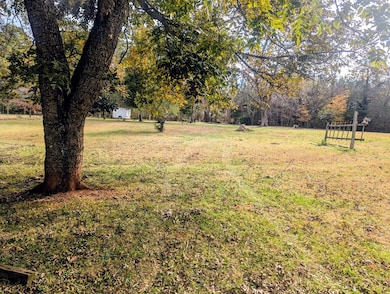 821 W Sycamore St, Chase City, VA 23924 - photo 3