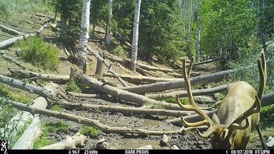 0 Tbd Atchee Ridge Rd, Rangely, CO 81648 - photo 6