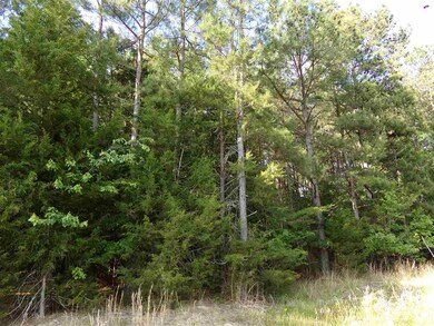 0 Coleridge Rd unit 2384409, Matthews, NC 27344 - photo 4