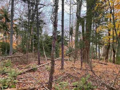 419 Shincracker unit 419 & 420, Wilmington, VT 05363 - photo 2