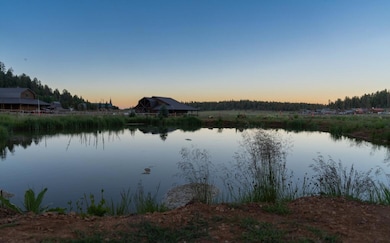 Sunset on the Pond
