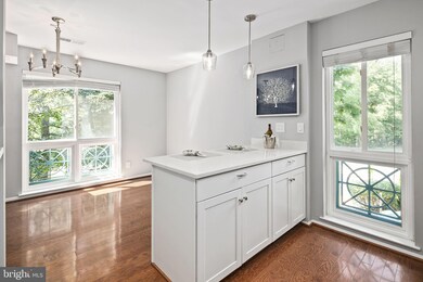 11827 Breton Ct unit 22D, Reston, VA 20191 - photo 6