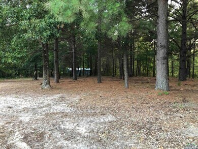 TBD Cr 233, Arp, TX 75750 - photo 3