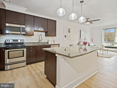 815 N Patrick St unit 203, Alexandria, VA 22314 - photo 3