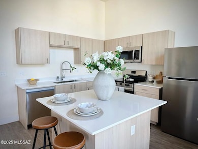 544 E Limberlost Dr unit 1101, Tucson, AZ 85705 - photo 5