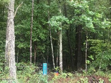 lot picture