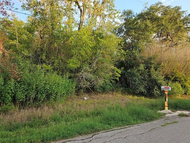 4351 County Road 945, Brazoria, TX 77422 - photo 2