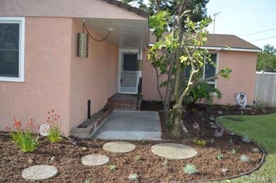 Orange and avocado trees