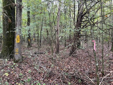 6.30 ac Mississippi 7, Water Valley, MS 38965 - photo 7