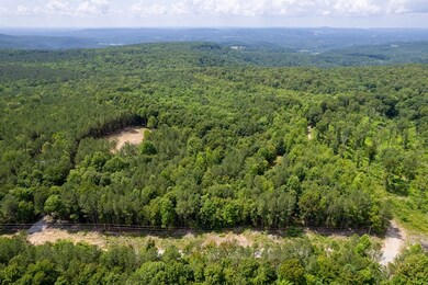 0 Topside Dr Lot 50 unit 237306, Spencer, TN 38585 - photo 5