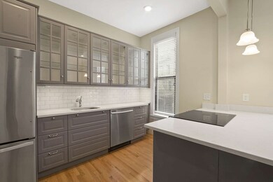 163 W Newton St unit 2, Boston, MA 02118 - photo 7