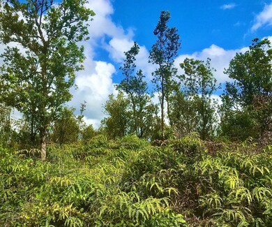 0 Omeka Rd unit 669638, Volcano, HI 96785 - photo 2