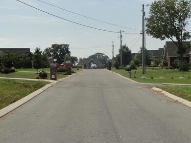 202 Honeysuckle Ln, Shelbyville, TN 37160 - photo 4