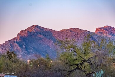 Catalina Mountain view from patio