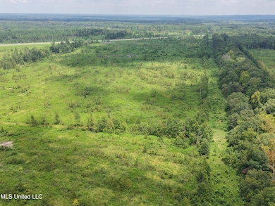 001 Reed Rd, Starkville, MS 39759 - photo 4