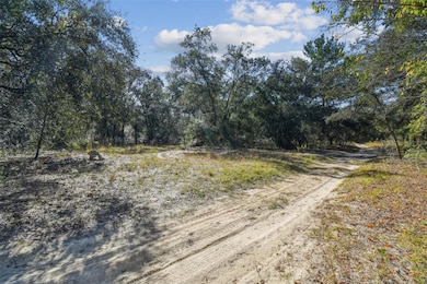 2903 Tyler St, Inverness, FL 34453 - photo 3