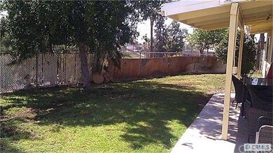 back yard