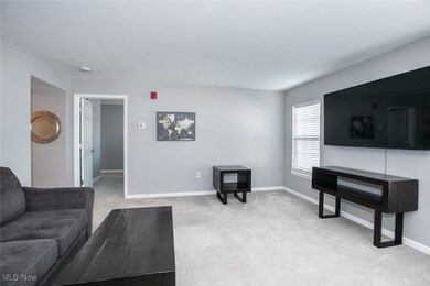 Chandlers Lane Condominiums unit 102, Olmsted Falls, OH 44138 - photo 7