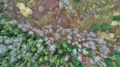 land-me-aroostook-county