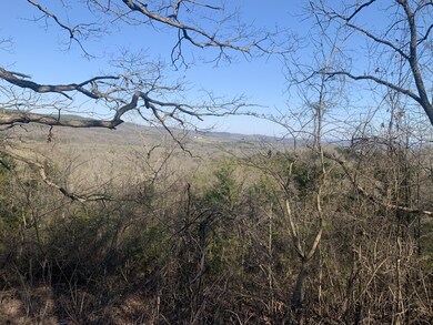 Tbd Scenic Valley, Shell Knob, MO 65747 - photo 6